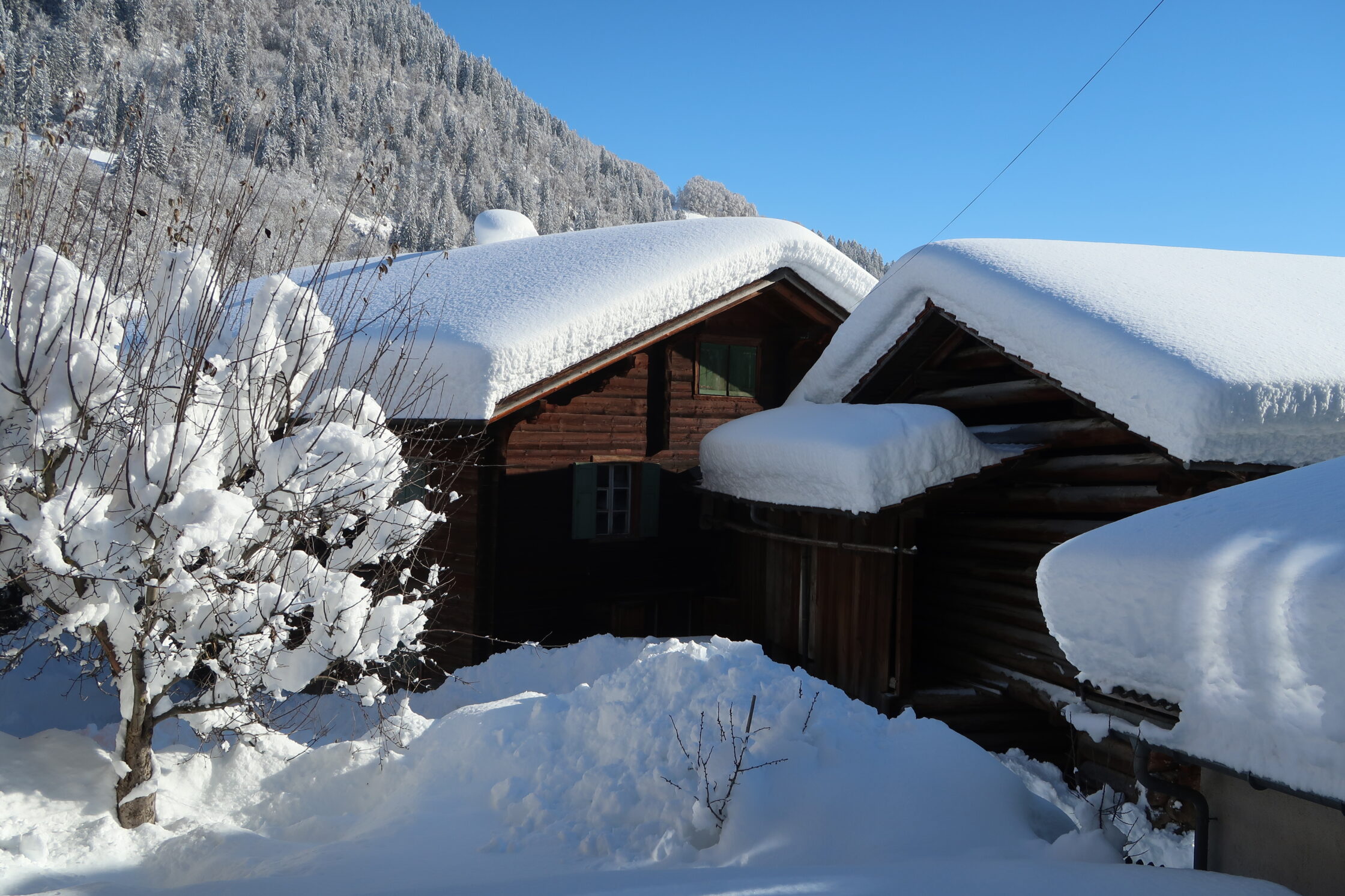 Schneeberge im Garten